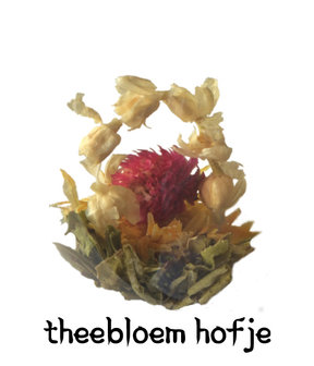 Theebloem Hofje