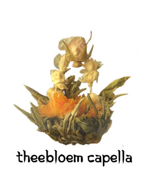 Theebloem Capella