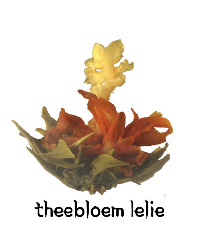 Theebloem Lelie